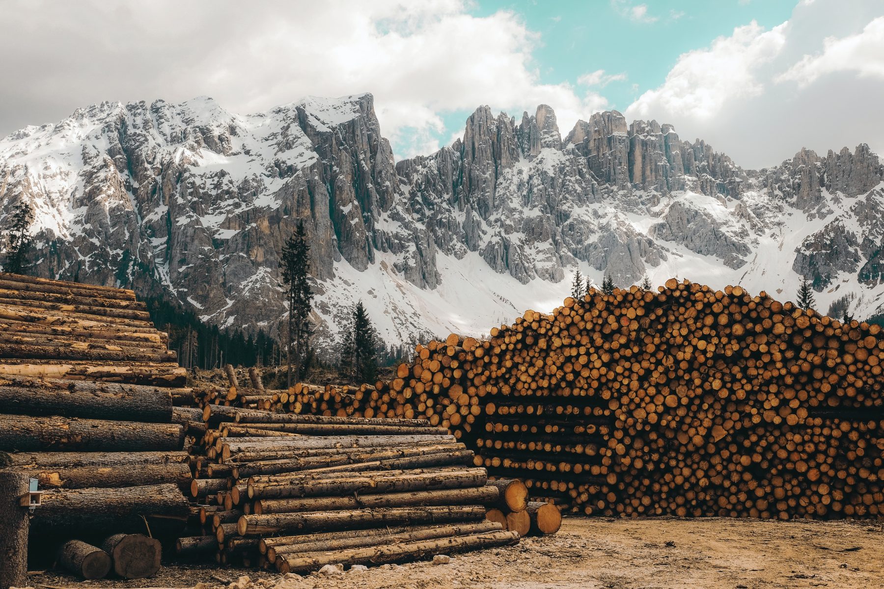 Mercato del Legno, dalla scarsità all’abbondanza.